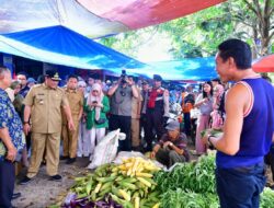 Pj Gubernur Pantau Harga Bahan Pokok di Pasar Batangase Maros