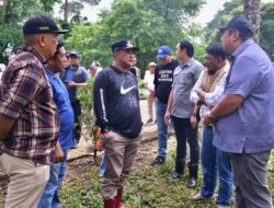 Mahasiswa Unsulbar Tanam Sukun di Kawasan Pengembangan Peternakan Pucak Maros