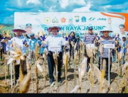 Mentan Tetapkan Harga Dan Siapkan Anggaran, Pekarangan Pun Bisa Penuh Dengan Jagung