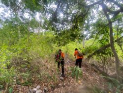 Basarnas Lanjutkan Pencarian Lansia Tersesat di Hutan Alasa Selayar
