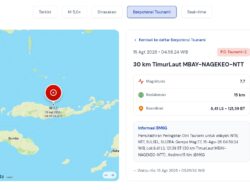 Gempa M7,7 Guncang Flores, BMKG Keluarkan Peringatan Tsunami untuk Sejumlah Wilayah Sulsel